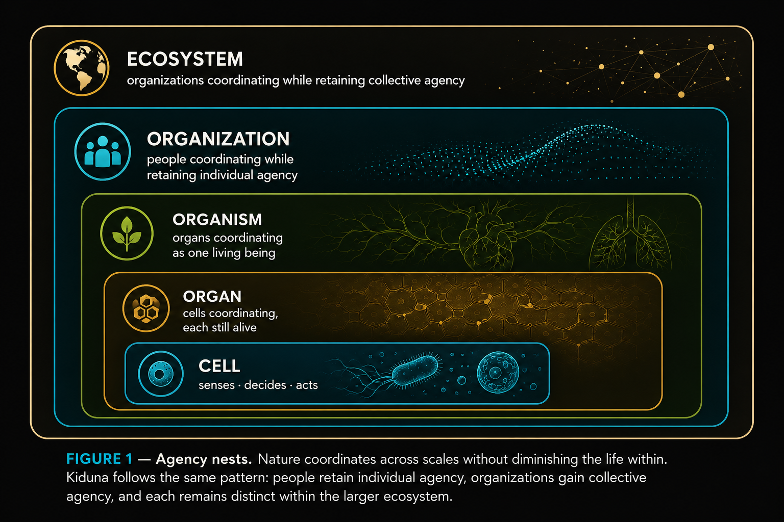 Figure 1: Agency nests